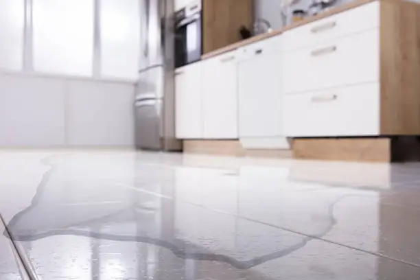 Appliance Leak Cleanup